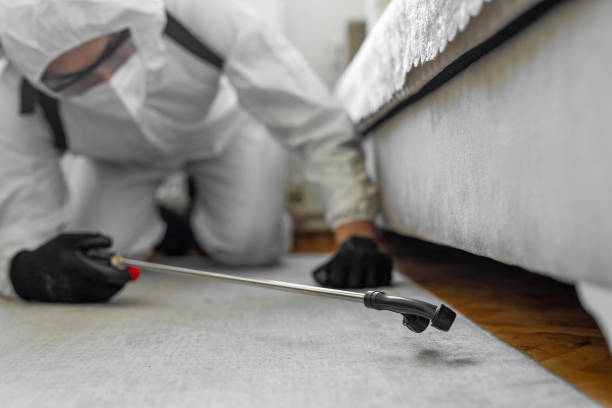 Professional Bed Bug Control technician working in St. Michael, MN